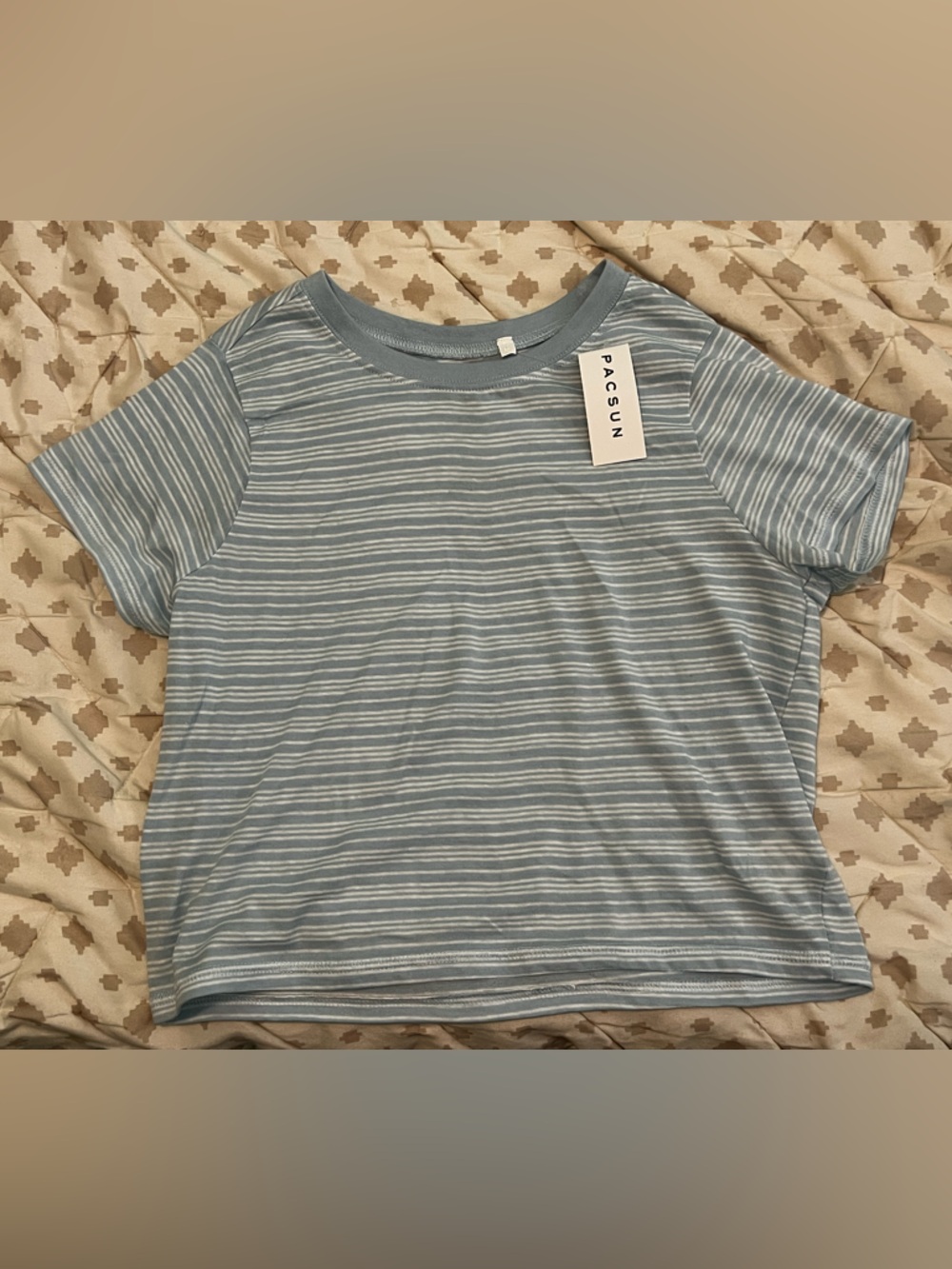 PacSun Blue & White Striped Short Sleeve Tee